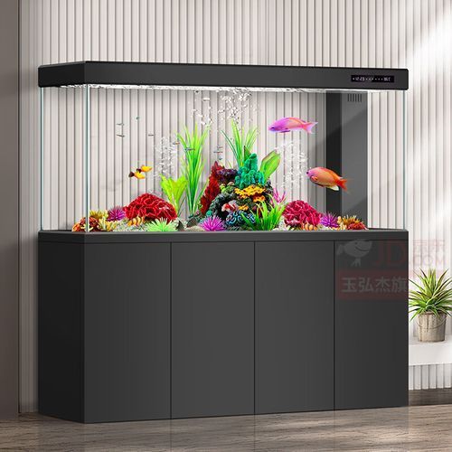 十大龍魚魚缸哪個品牌最好，十大龍魚魚缸哪個品牌最好十大熱門品牌解析