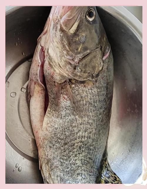十大暴利淡水魚，十大暴利淡水魚市場中的十大暴利淡水魚市場中的十大利潤