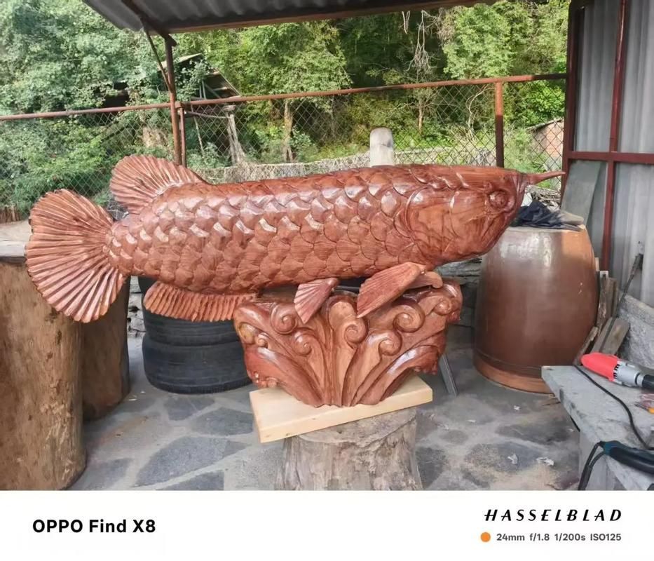 給我推薦一些高清的木雕金龍魚圖片，木雕金龍魚圖片欣賞