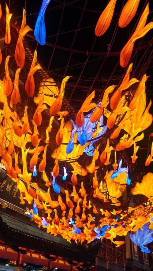 2024年龍魚燈的主燈組是什么？，2024年“龍魚”主燈組