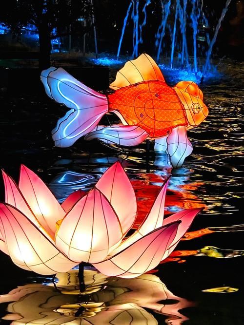 2024年龍魚燈的主燈組是什么？，2024年“龍魚”主燈組