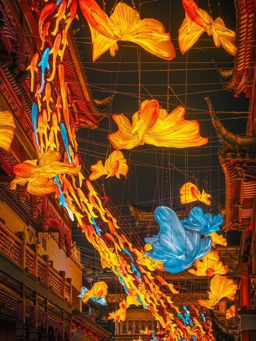 2024年龍魚燈的主燈組是什么？，2024年“龍魚”主燈組