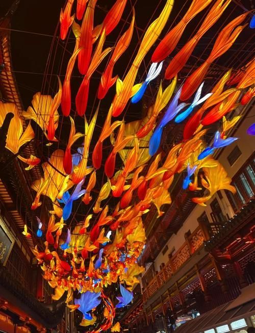 2024年龍魚燈的主燈組是什么？，2024年“龍魚”主燈組