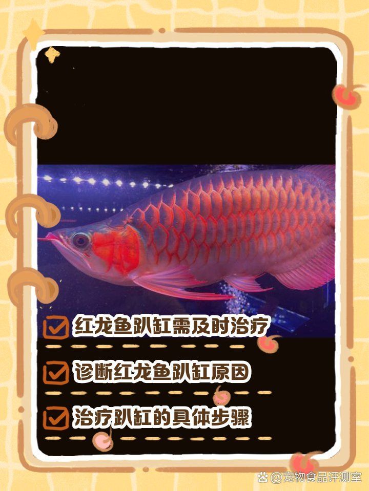 紅龍魚趴缸需要多久恢復，紅龍魚趴缸浮起的時間取決于多種因素