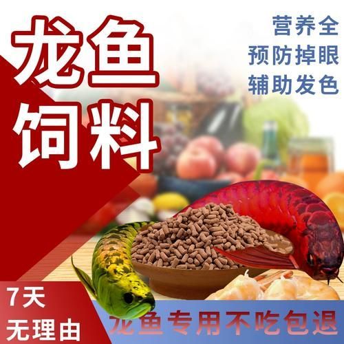 馬印Hikari飼料有哪些系列適合龍魚？，馬印hikari飼料有哪些系列適合龍魚？