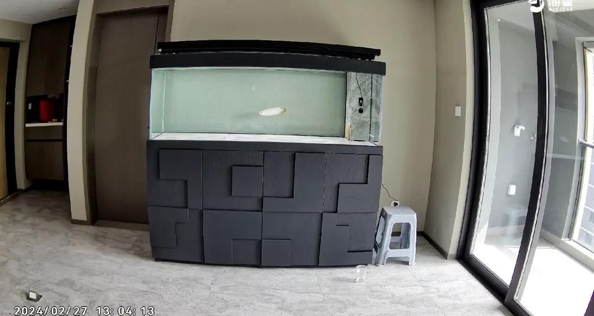 彩鰈、久鼎等品牌魚缸的價格范圍是多少？，彩鰈,久鼎等品牌魚缸的價格范圍是多少？