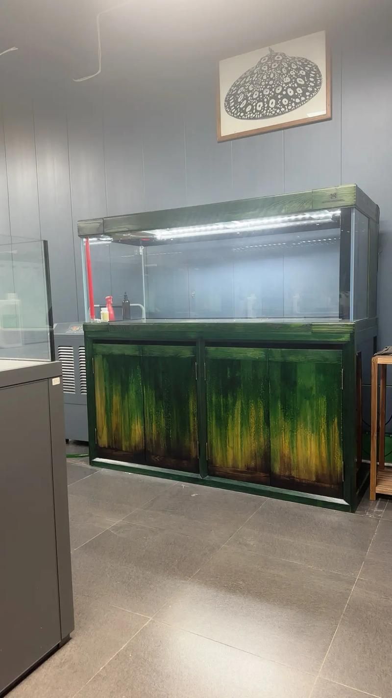 彩鰈、久鼎等品牌魚缸的價格范圍是多少？，彩鰈,久鼎等品牌魚缸的價格范圍是多少？