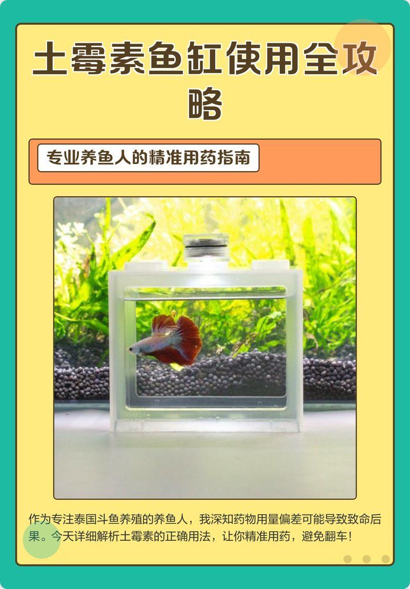土霉素治療魚腹水的休藥期具體多久，土霉素治療魚腹水的休藥期具體多久,