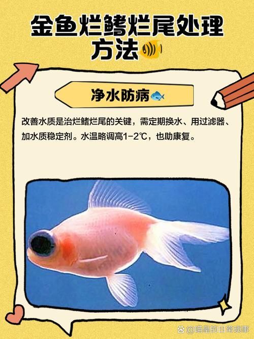 能提供一些預防魚爛尾爛鰭病的圖片嗎，如何判斷魚是否患有爛尾爛鰭病