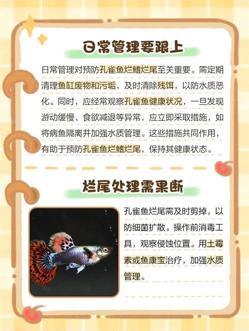 能提供一些預防魚爛尾爛鰭病的圖片嗎，如何判斷魚是否患有爛尾爛鰭病