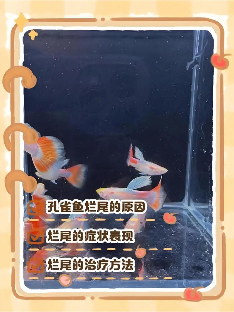 能提供一些預防魚爛尾爛鰭病的圖片嗎，如何判斷魚是否患有爛尾爛鰭病