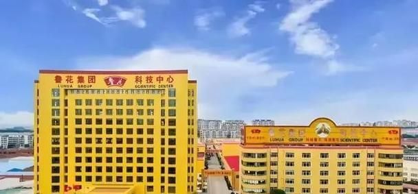 魯花和金龍魚有哪些合作，魯花和金龍魚與金龍魚的合作：魯花和金龍魚有哪些合作