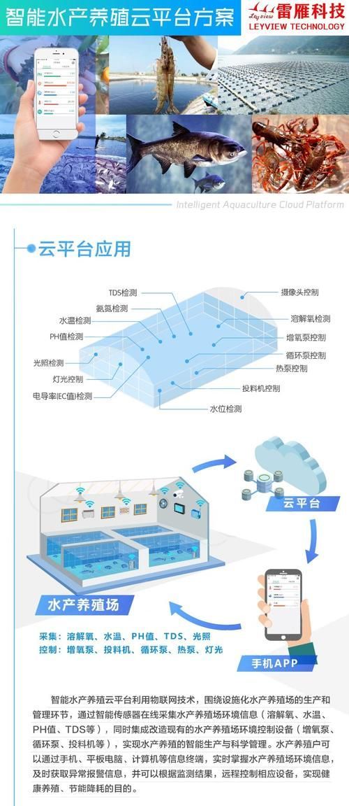 祥龍魚場與CIPS 2025的未來合作方向，祥龍魚場與cips2025合作方向