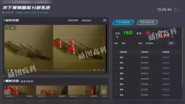 祥龍魚場與CIPS 2025的未來合作方向，祥龍魚場與cips2025合作方向