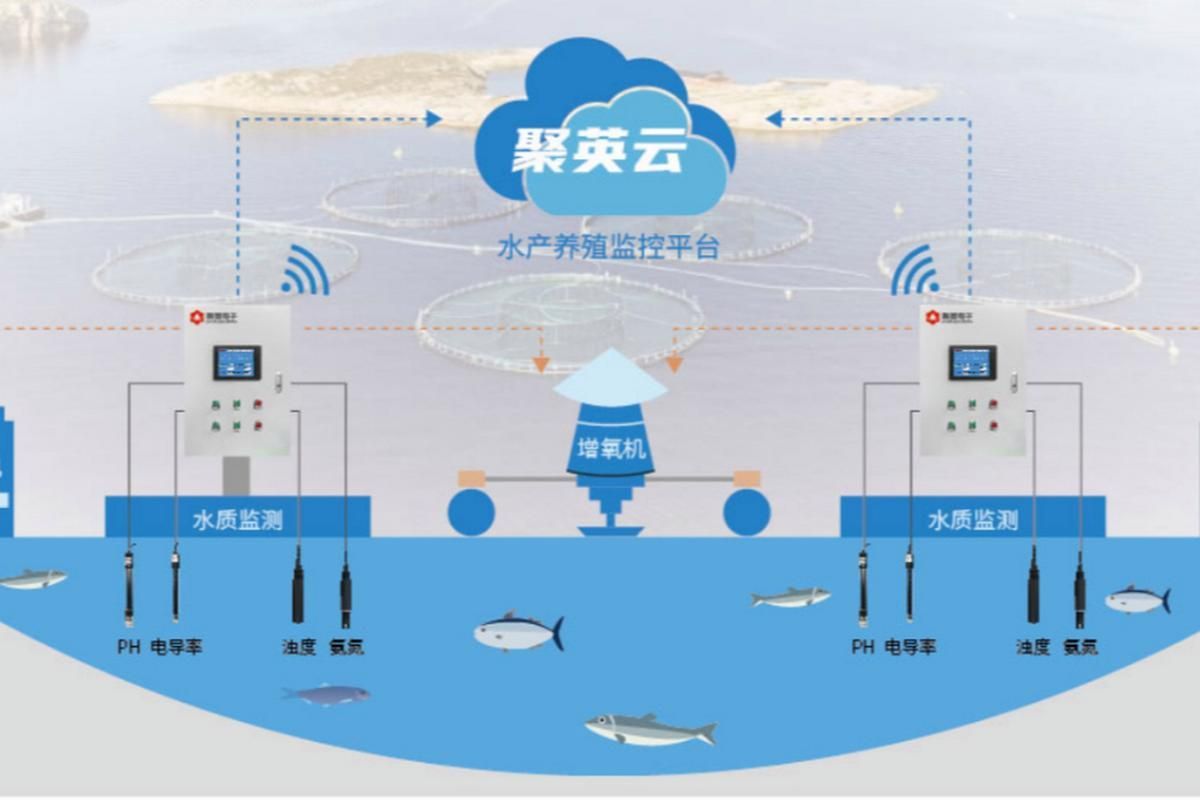 祥龍魚場與CIPS 2025的未來合作方向，祥龍魚場與cips2025合作方向