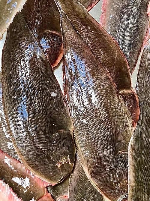 陵水龍魚和龍利魚有什么區(qū)別？，“陵水龍魚”和“龍利魚”有什么區(qū)別？