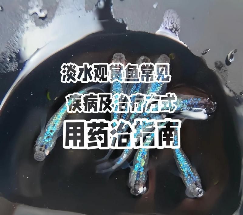 如何正確選擇魚藥？