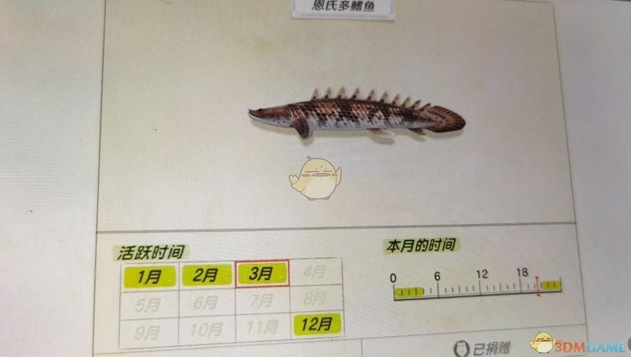 虎斑恐龍魚放生后如何存活？，“虎斑恐龍魚放生后如何存活，虎斑恐龍魚放生后如何存活