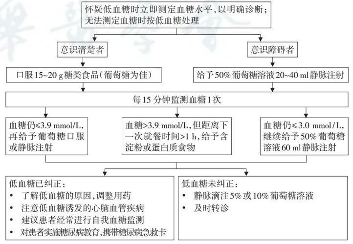 請提供更詳細的藥物治療方案，2型糖尿病患者的藥物治療任務