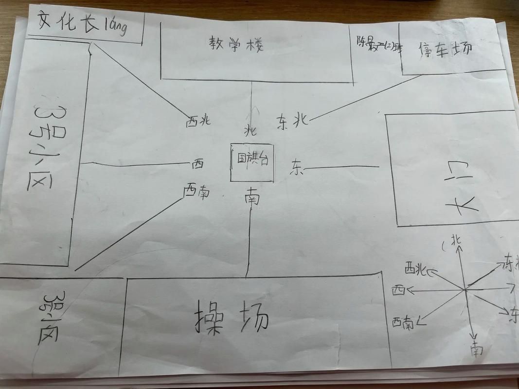 能否提供一張更詳細的示意圖，古龍過背金龍魚的最佳喂食時間