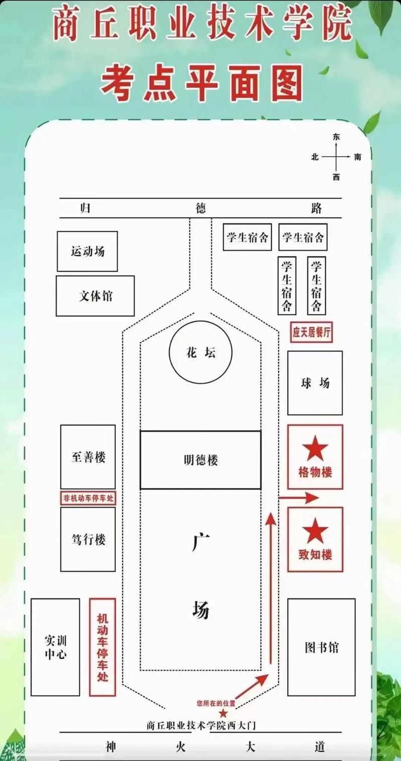 能否提供一張更詳細的示意圖，古龍過背金龍魚的最佳喂食時間