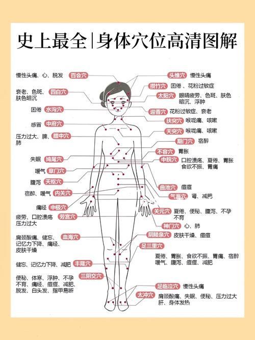 能否提供一張更詳細的示意圖，古龍過背金龍魚的最佳喂食時間