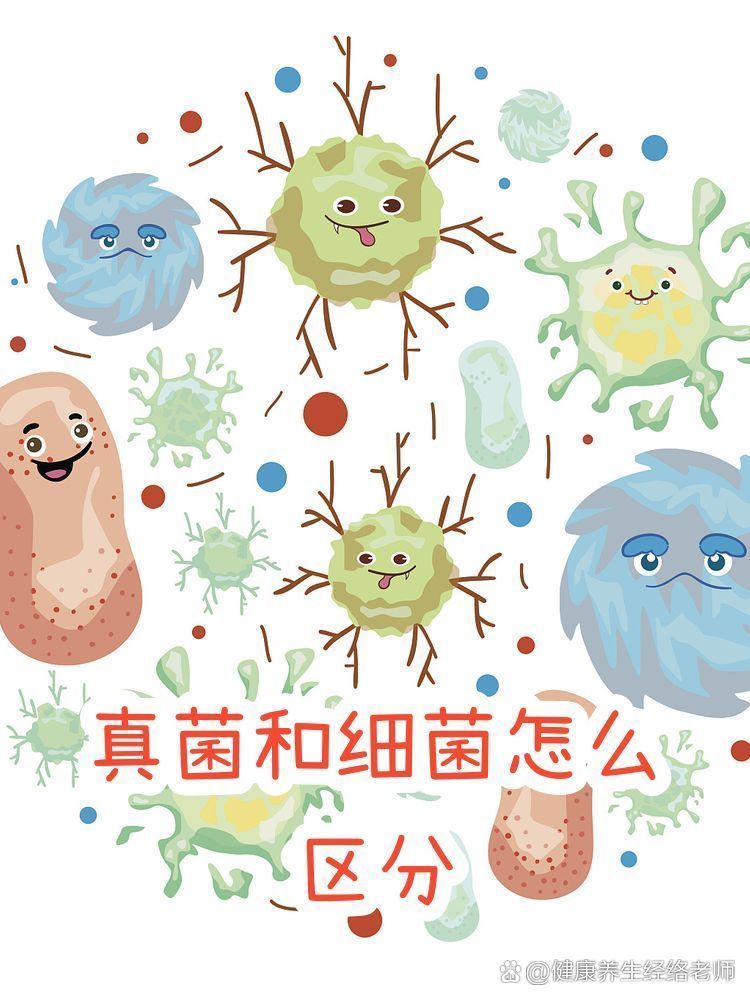 怎么判斷是真菌還是細菌，判斷真菌或細菌通常需要觀察其形態特征、培養特性和生理反應