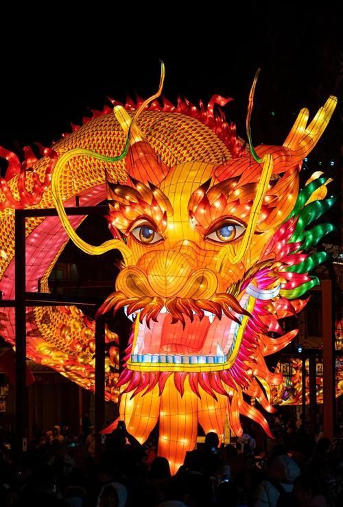 2024年北京龍魚燈照有哪些特色？