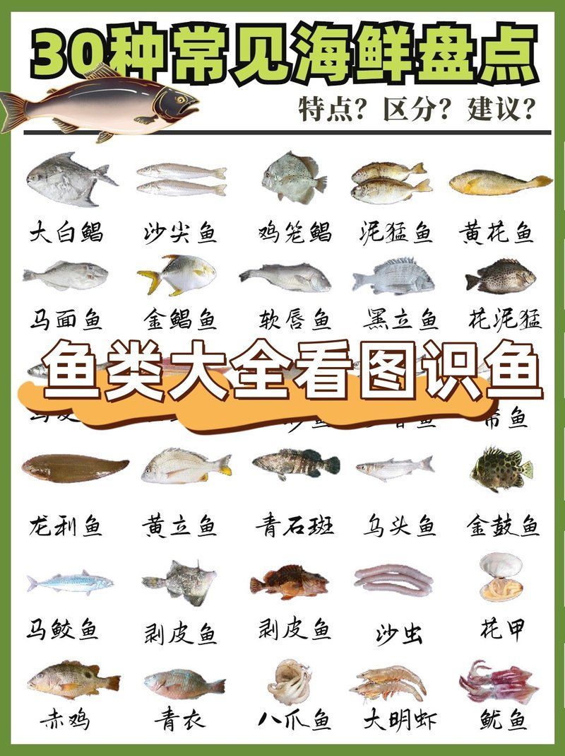 如何判斷魚是否新鮮，判斷魚是否新鮮是確保食品安全和口感的重要步驟以下幾種方法