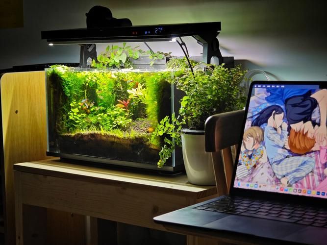 哪個品牌的魚缸口碑最好？，高口碑魚缸品牌選購對比表