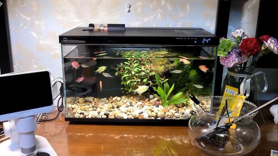 哪個品牌的魚缸口碑最好？，高口碑魚缸品牌選購對比表