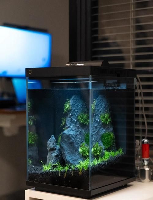 哪個品牌的魚缸口碑最好？，高口碑魚缸品牌選購對比表