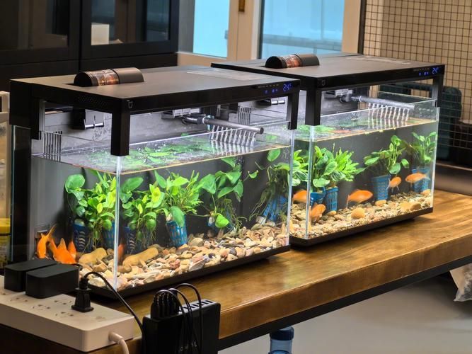 哪個(gè)品牌的魚缸口碑最好？，高口碑魚缸品牌選購對比表