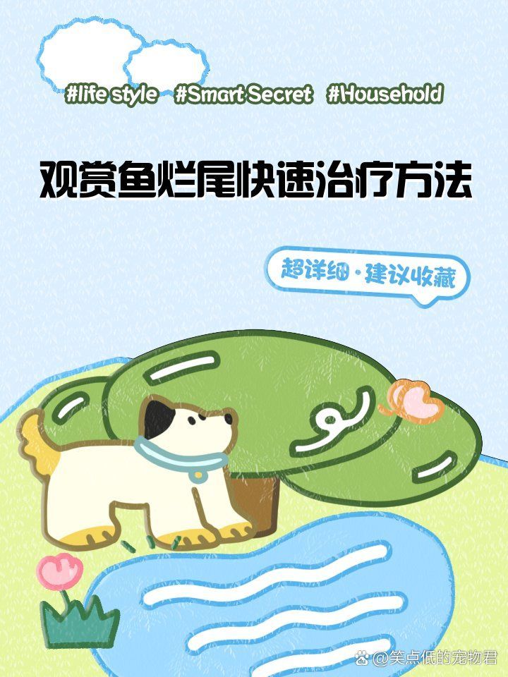 如何判斷金魚爛尾是否好轉，金魚尾巴充血爛尾是怎么回事