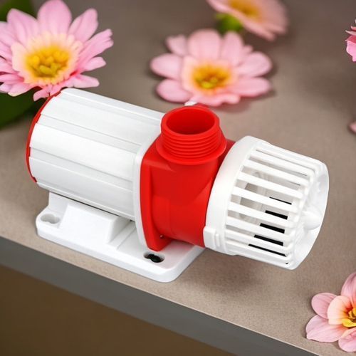 可麗愛(ài)和博特哪個(gè)更靜音？，可麗愛(ài)和博特哪個(gè)更靜音，祥龍魚(yú)場(chǎng)與金龍魚(yú)有何歷史合作