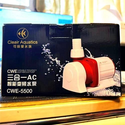 可麗愛(ài)和博特哪個(gè)更靜音？，可麗愛(ài)和博特哪個(gè)更靜音，祥龍魚(yú)場(chǎng)與金龍魚(yú)有何歷史合作