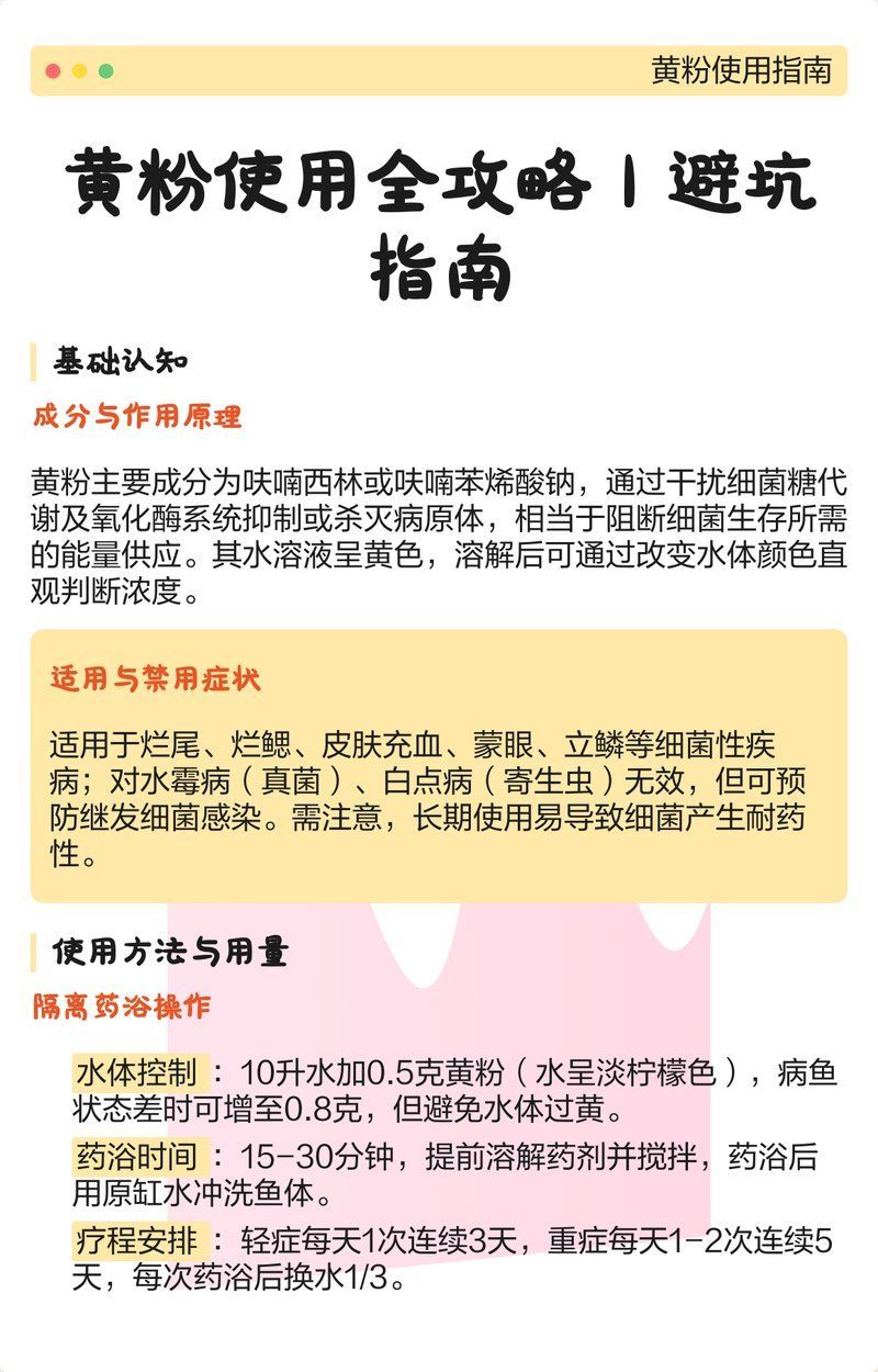 使用黃粉治療龍魚背霉有哪些副作用，黃粉治療龍魚背霉有哪些副作用