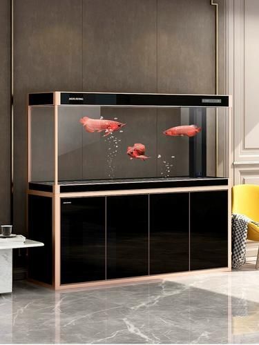 有哪些品牌魚缸適合養紅龍魚？，適合養紅龍魚的優質魚缸品牌