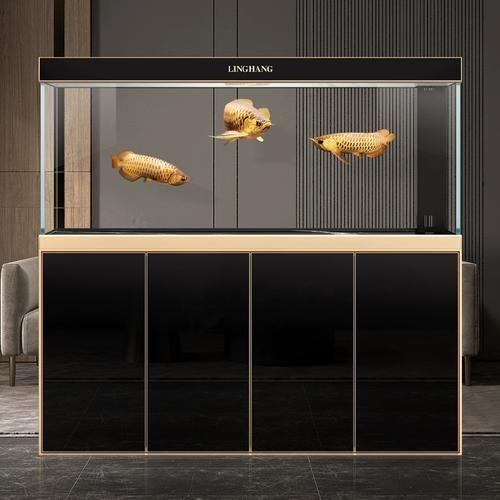 有哪些品牌魚缸適合養紅龍魚？，適合養紅龍魚的優質魚缸品牌