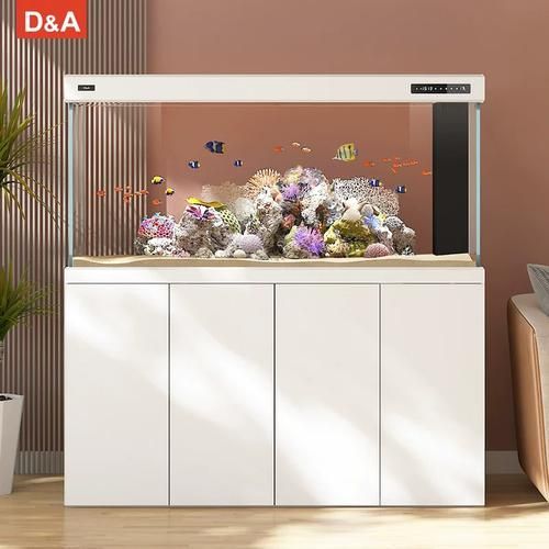 有哪些品牌魚缸適合養紅龍魚？，適合養紅龍魚的優質魚缸品牌