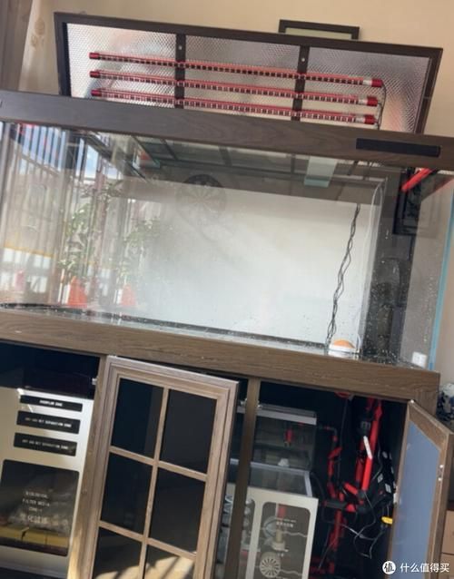 有哪些品牌魚缸適合養紅龍魚？，適合養紅龍魚的優質魚缸品牌