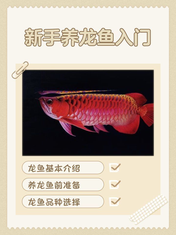 龍魚在淡水魚中有什么特點？，龍魚在淡水魚中有什么特點，龍魚品種圖鑒，