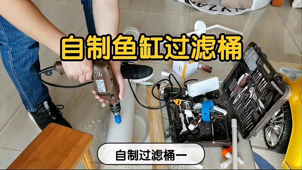 如何降低新會龍魚的飼養成本，如何降低新會龍魚飼養成本