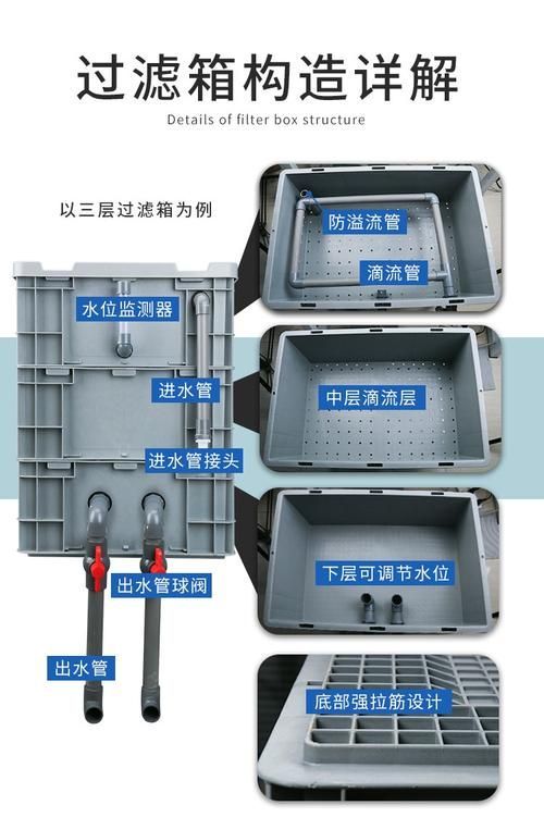 如何降低新會龍魚的飼養成本，如何降低新會龍魚飼養成本