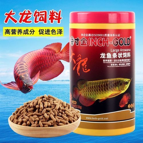 有哪些品牌紅龍魚專用餌料推薦？，紅龍魚專用餌料推薦