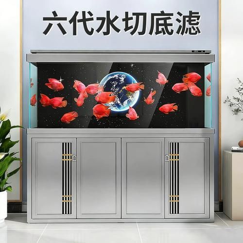 有哪些品牌龍魚魚缸推薦？，水族箱中的龍魚魚缸品牌及其特點，適合不同需求和預算的養魚愛好者