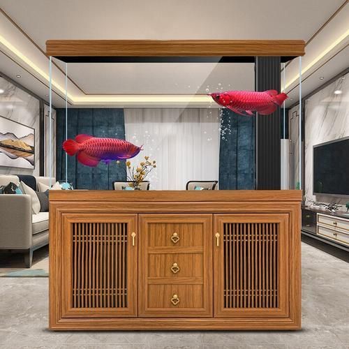 有哪些品牌龍魚魚缸推薦？，水族箱中的龍魚魚缸品牌及其特點，適合不同需求和預算的養魚愛好者