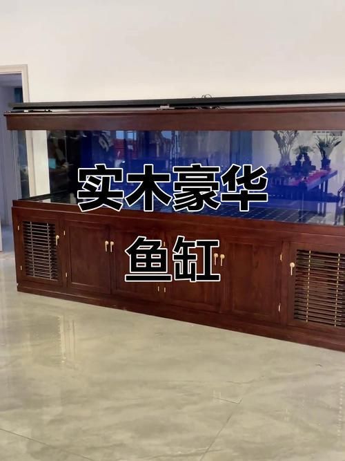 有哪些品牌龍魚魚缸推薦？，水族箱中的龍魚魚缸品牌及其特點，適合不同需求和預算的養魚愛好者