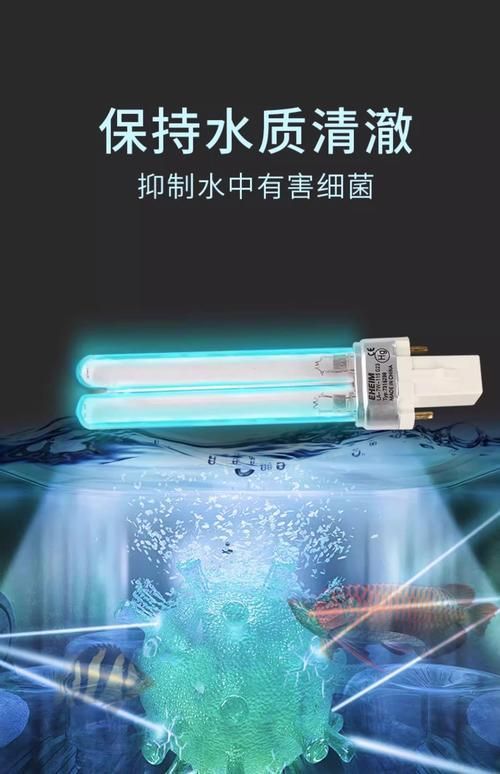 如何預防觀賞魚爛鰓病，如何預防觀賞魚爛鰓病預防觀賞魚爛鰓病的預防詳解