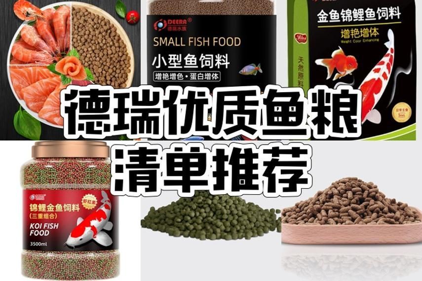 有哪些品牌飼料魚值得推薦？